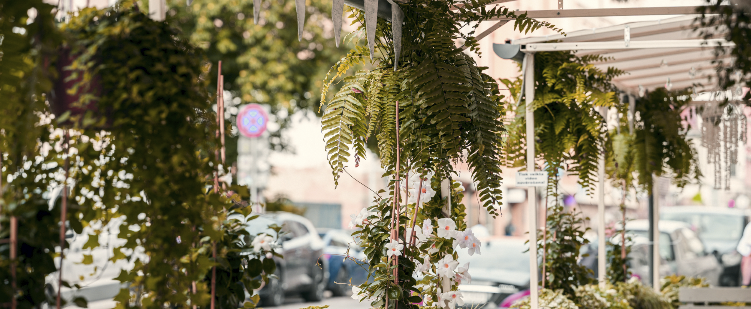 Cafés near the CENTRUS quarter serve éclairs, croissants, and coffee, offering a warm place to relax with friends in the heart of Riga.